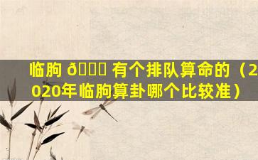 临朐 🐕 有个排队算命的（2020年临朐算卦哪个比较准）